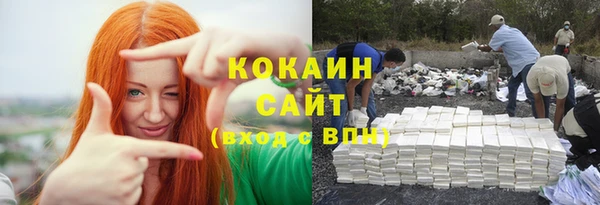 ешки Арсеньев