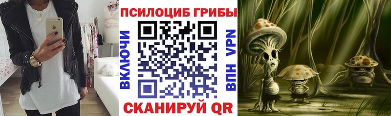 Псилоцибиновые грибы ЛСД  маркетплейс Telegram  Суровикино  где купить наркоту 
